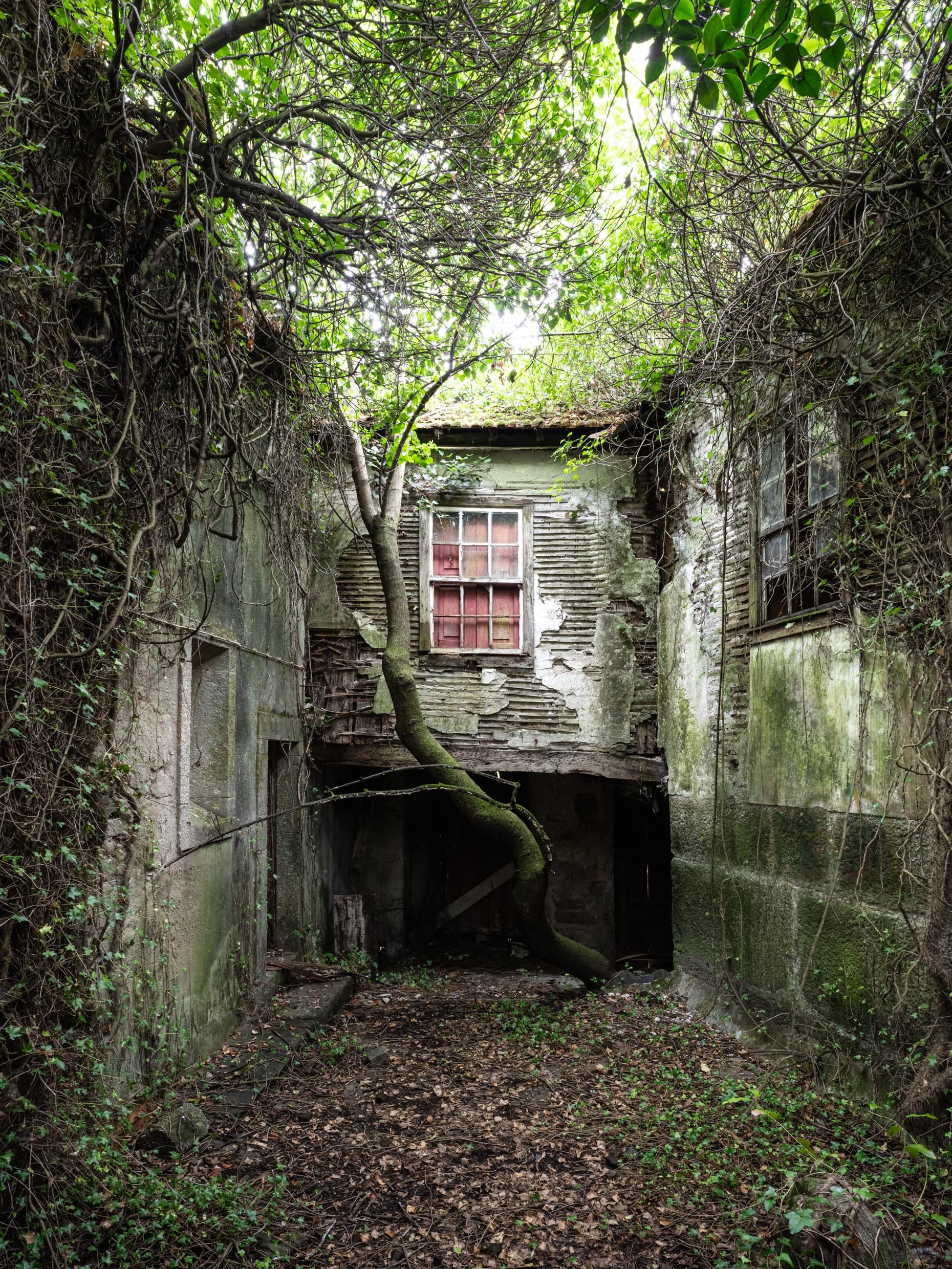 Skywards Escape
