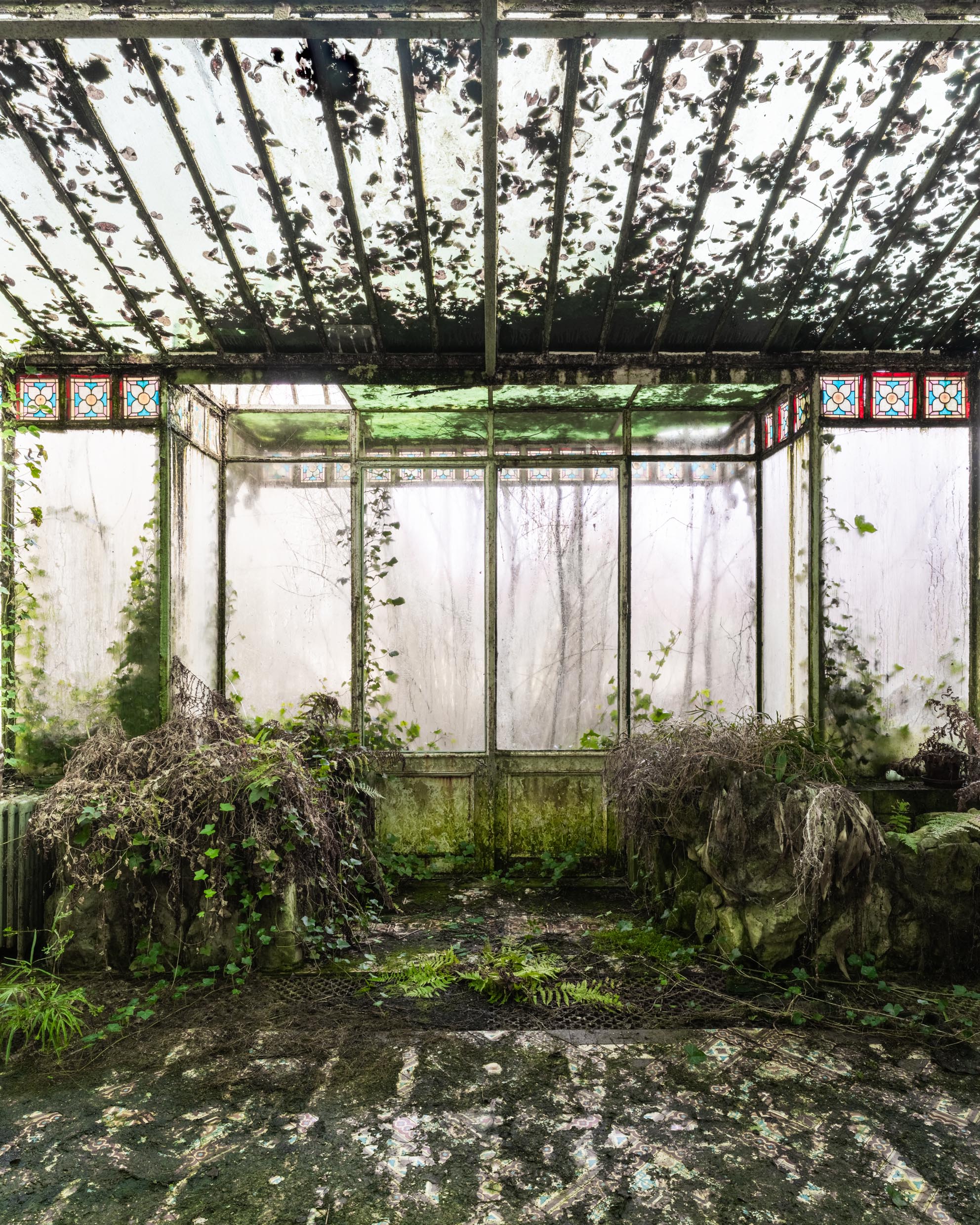 Verdant Veranda Verdant Veranda