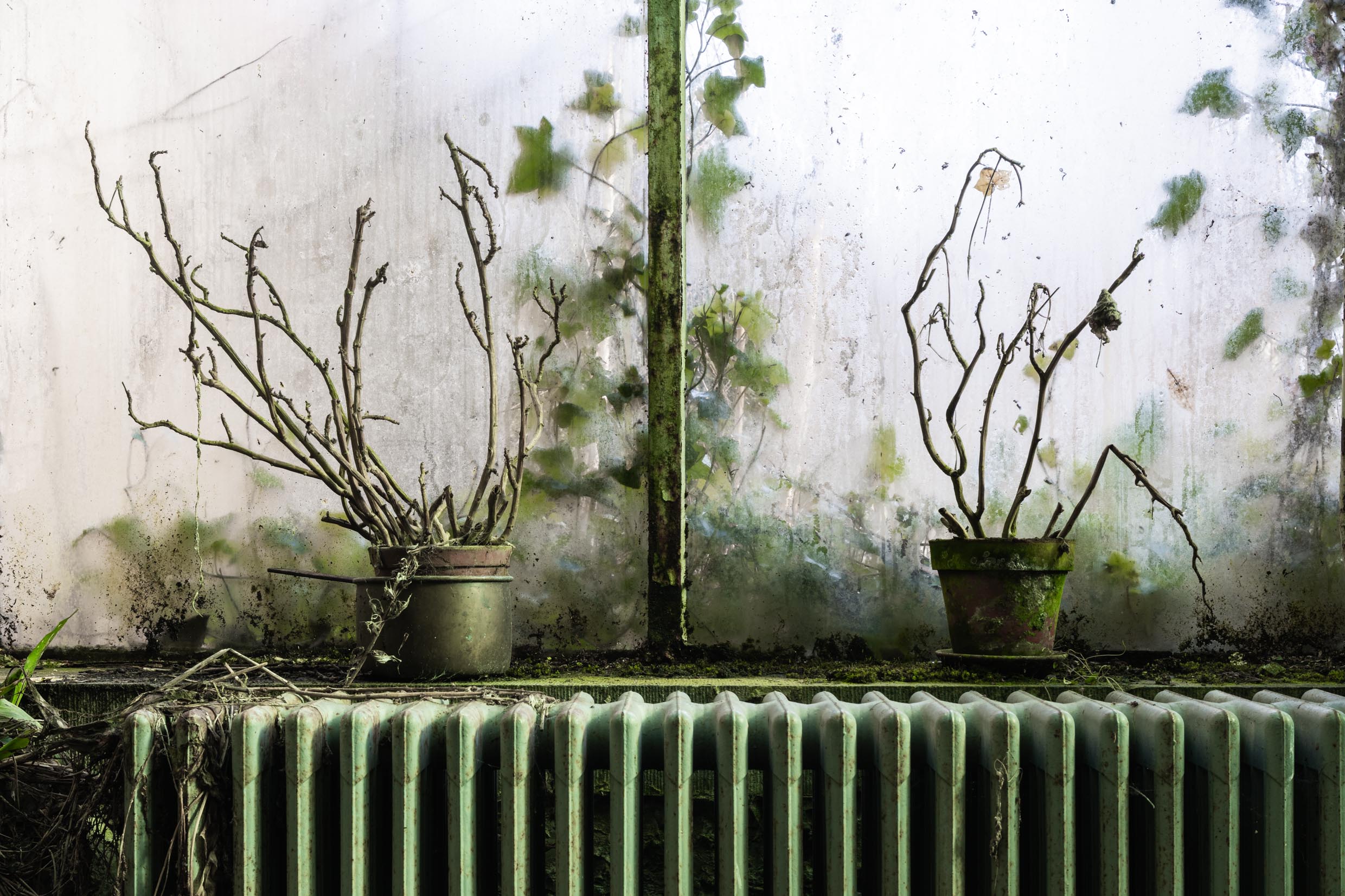 Verdant Veranda Verdant Veranda
