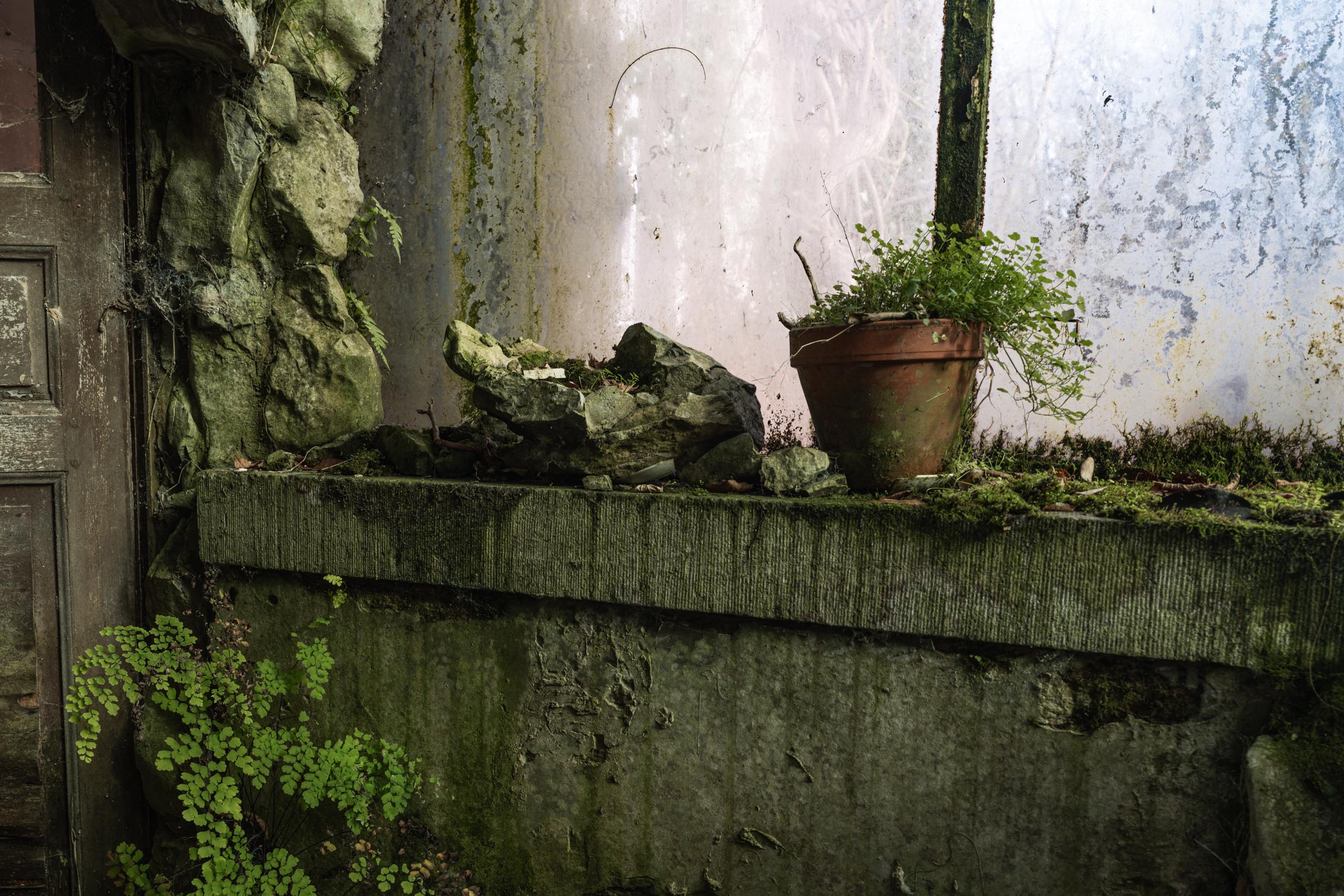 Verdant Veranda Verdant Veranda