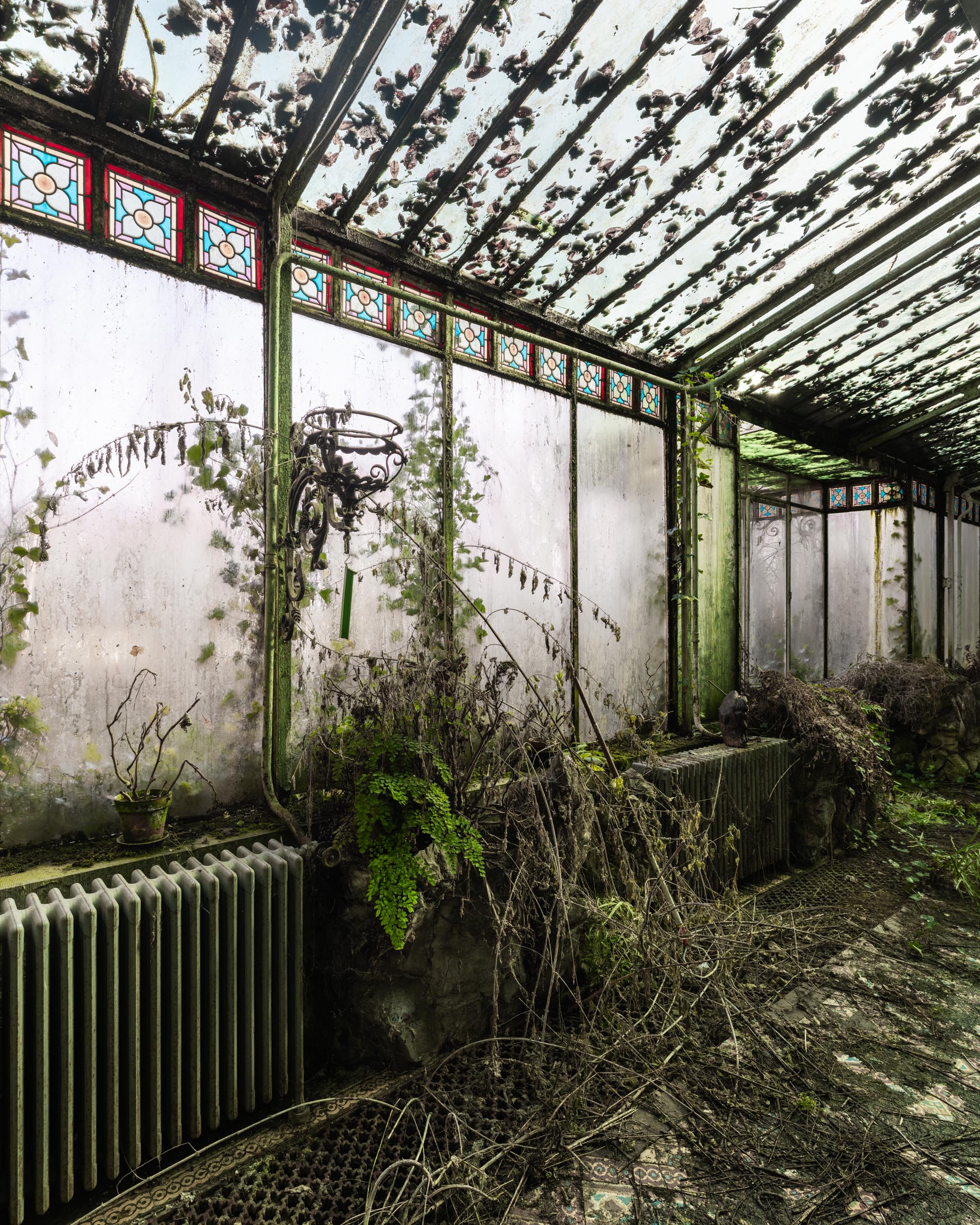 Verdant Veranda Verdant Veranda