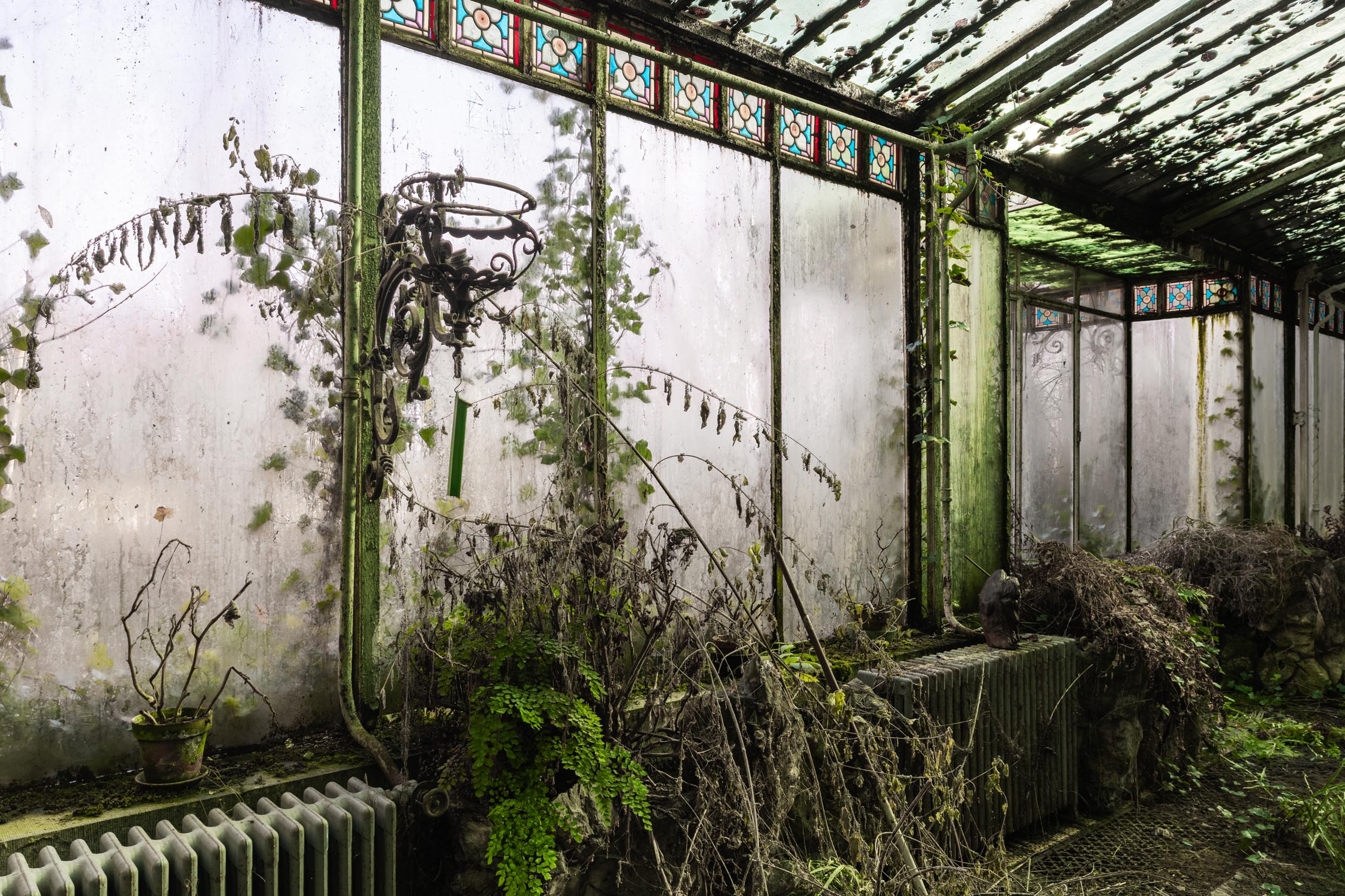 Verdant Veranda Verdant Veranda