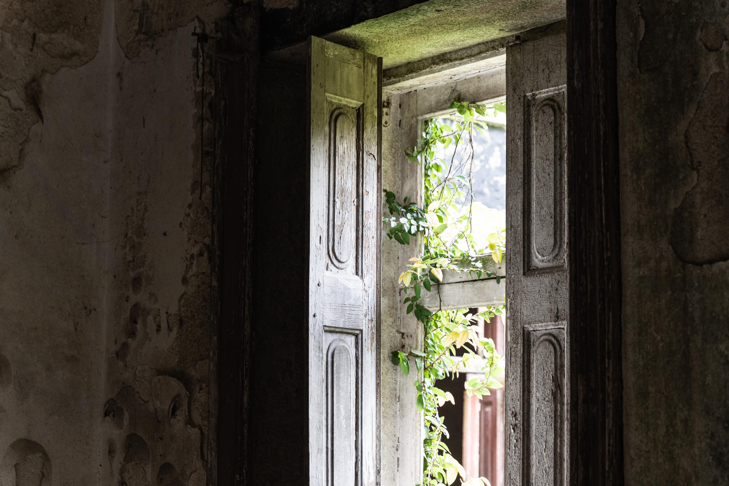 História do Jardim História do Jardim