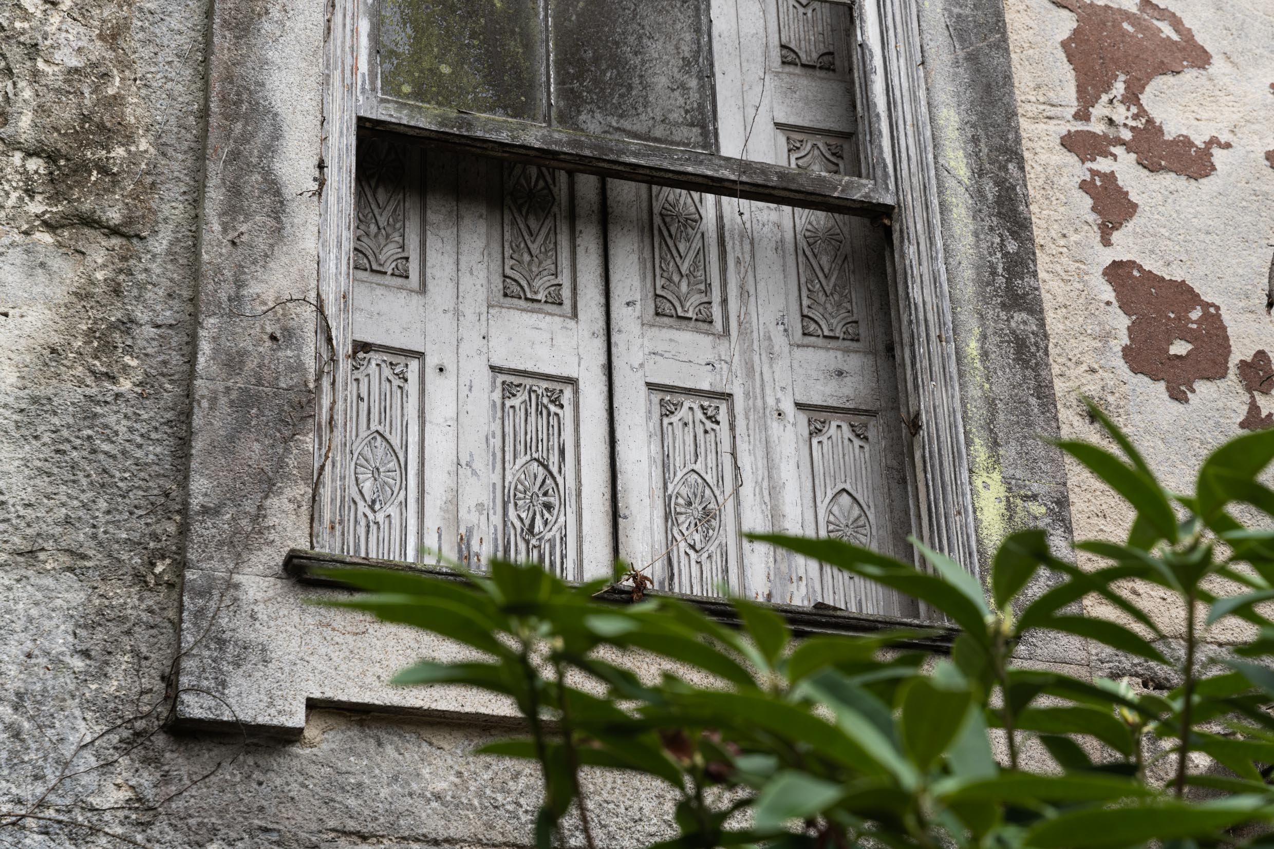 História do Jardim História do Jardim