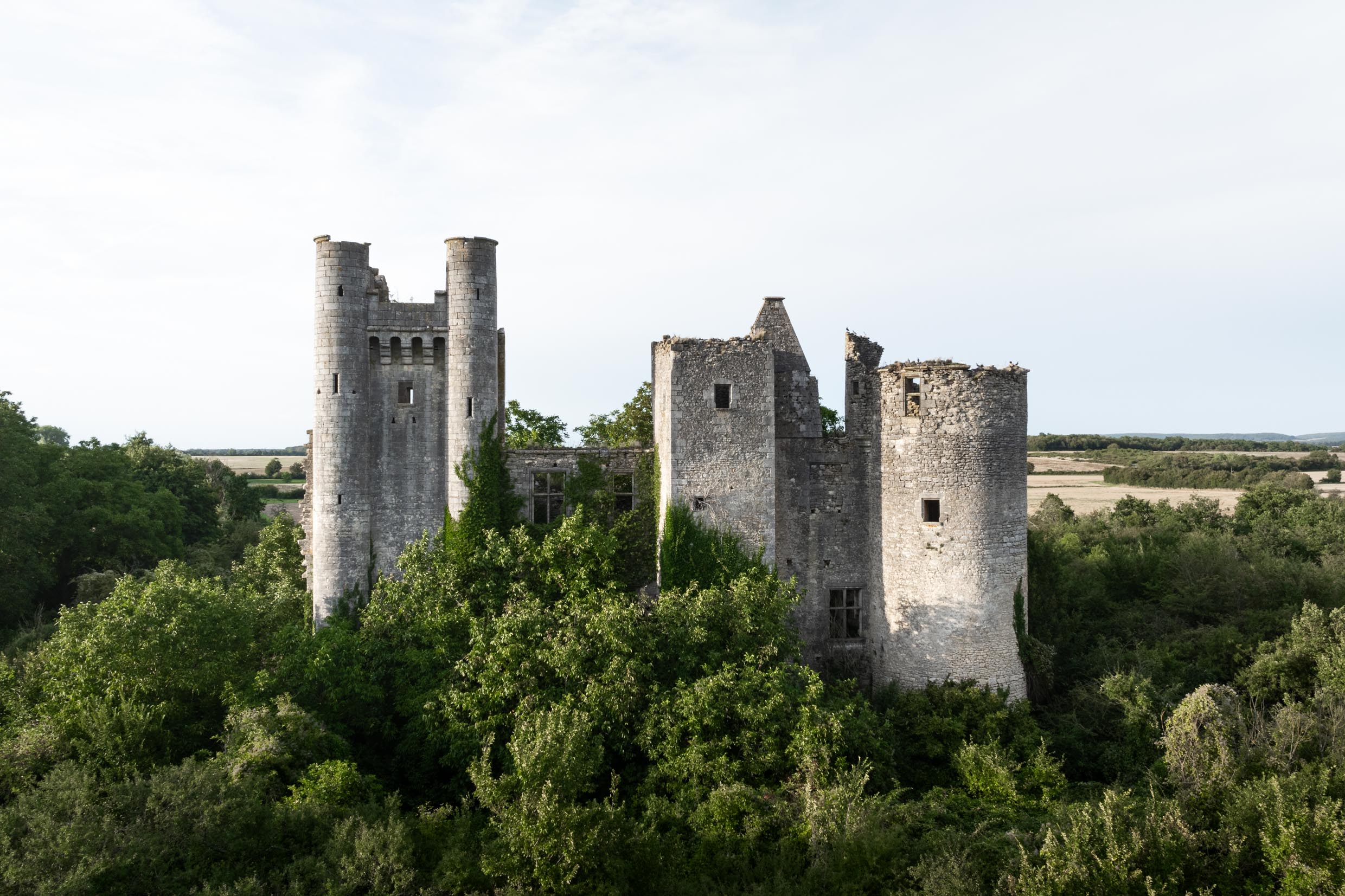Gardien de Pierre