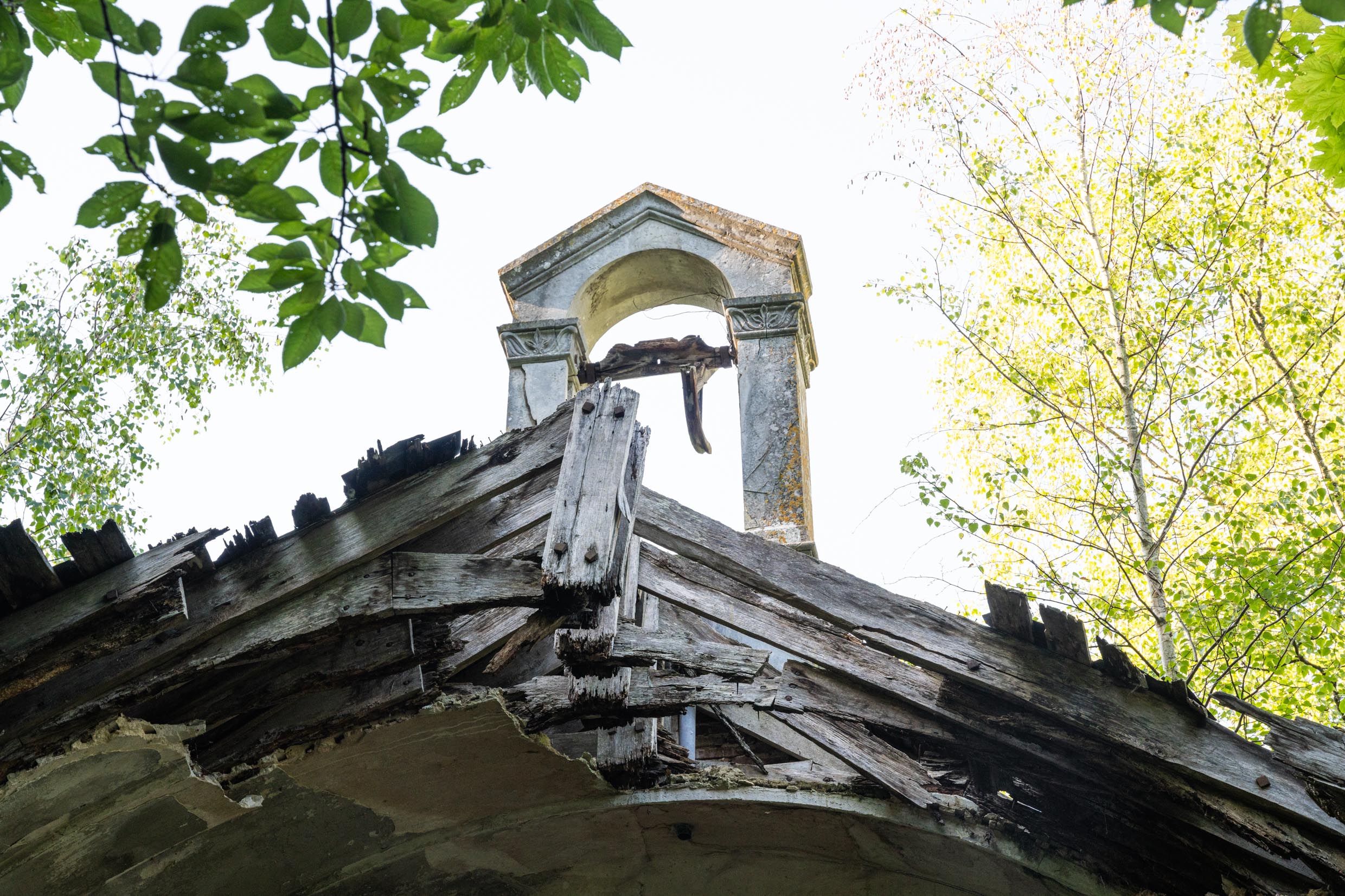 Secret Sacré de la Forêt Secret Sacré de la Forêt