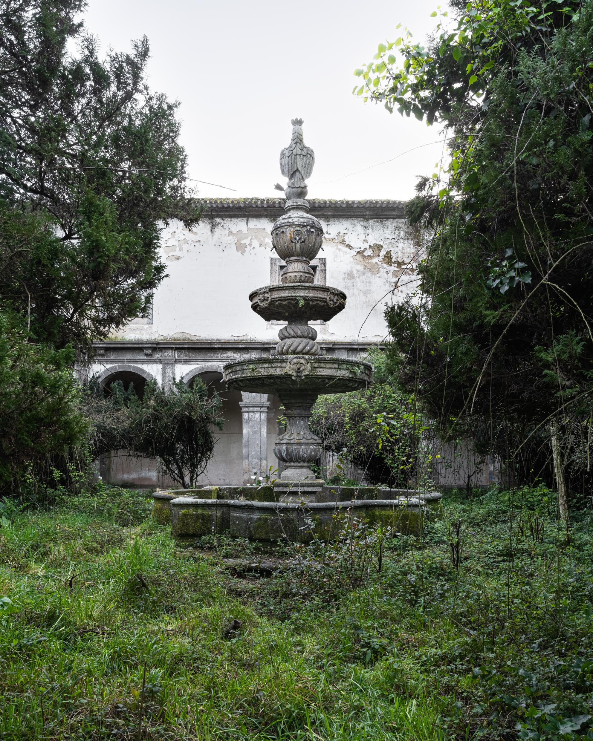 Vigília da Águia Vigília da Águia