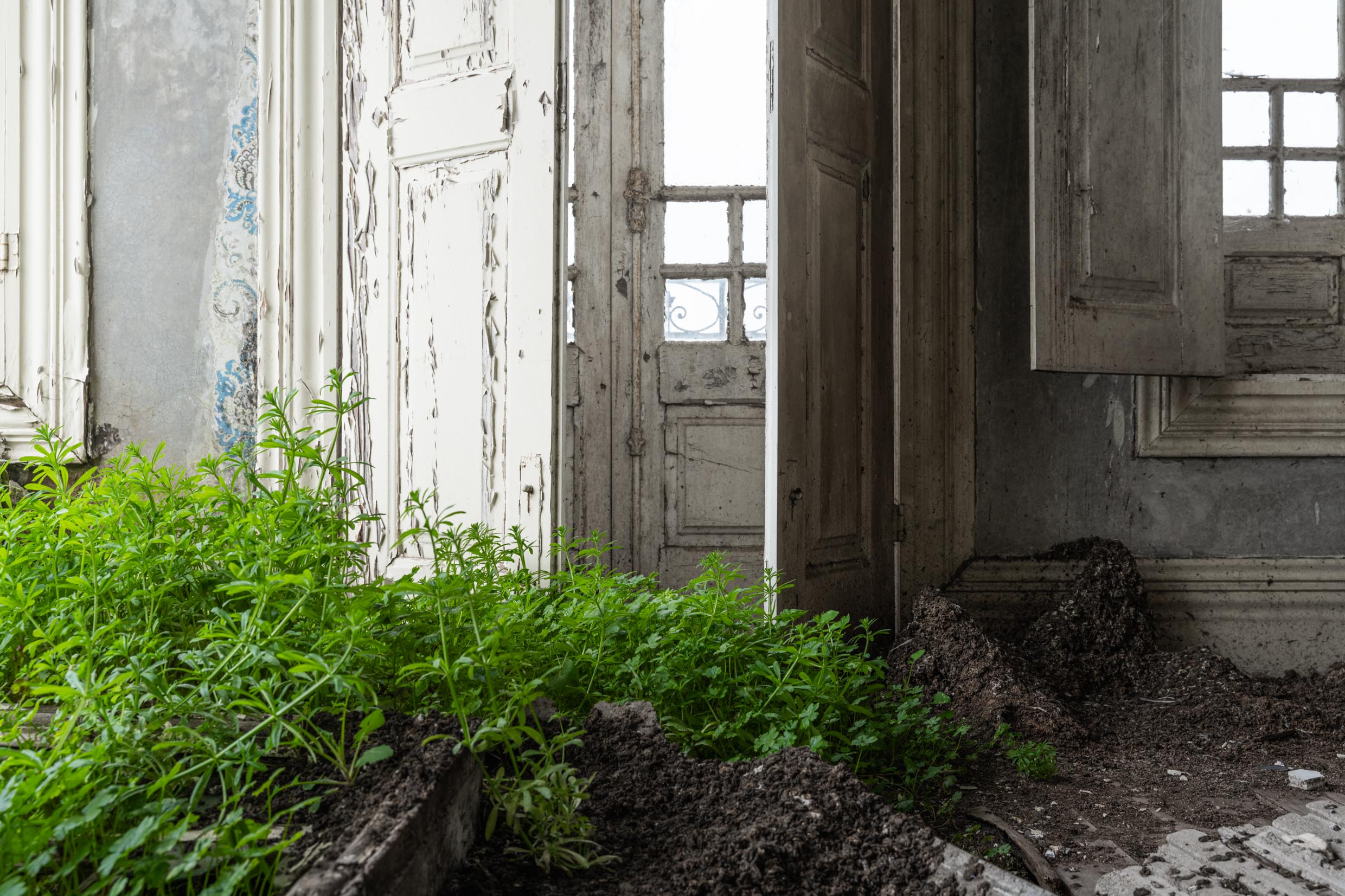 Villa Elegia Ecléctica Villa Elegia Ecléctica