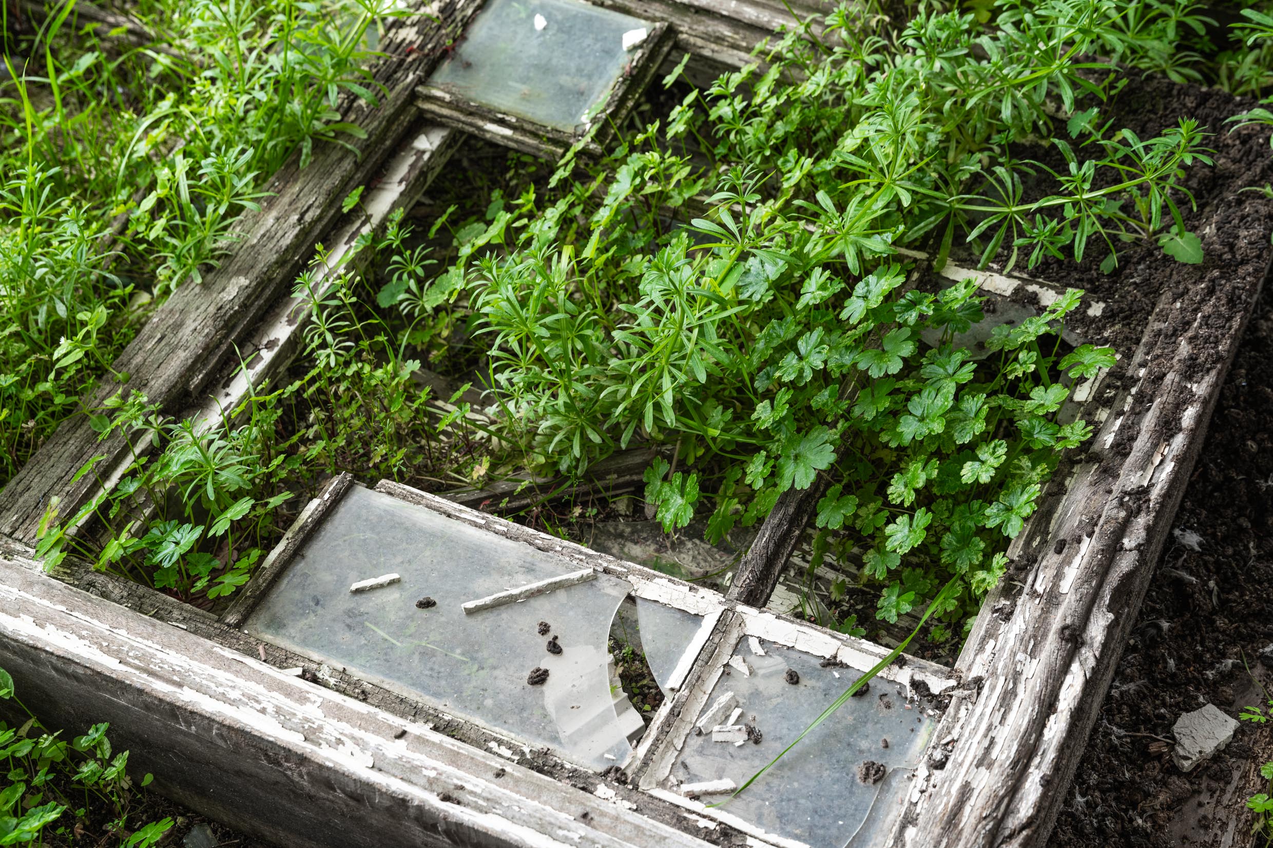 Villa Elegia Ecléctica Villa Elegia Ecléctica