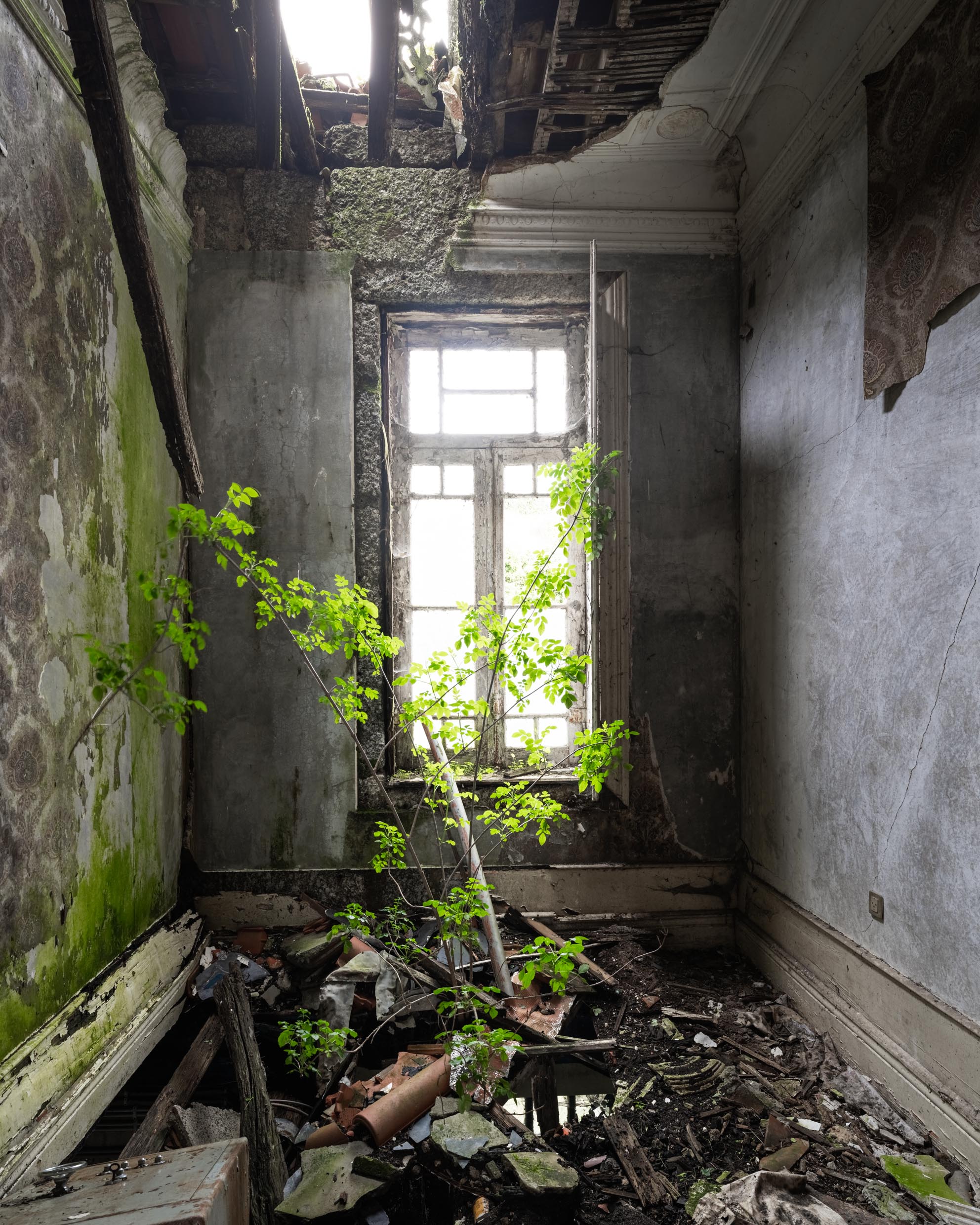 Villa Elegia Ecléctica Villa Elegia Ecléctica