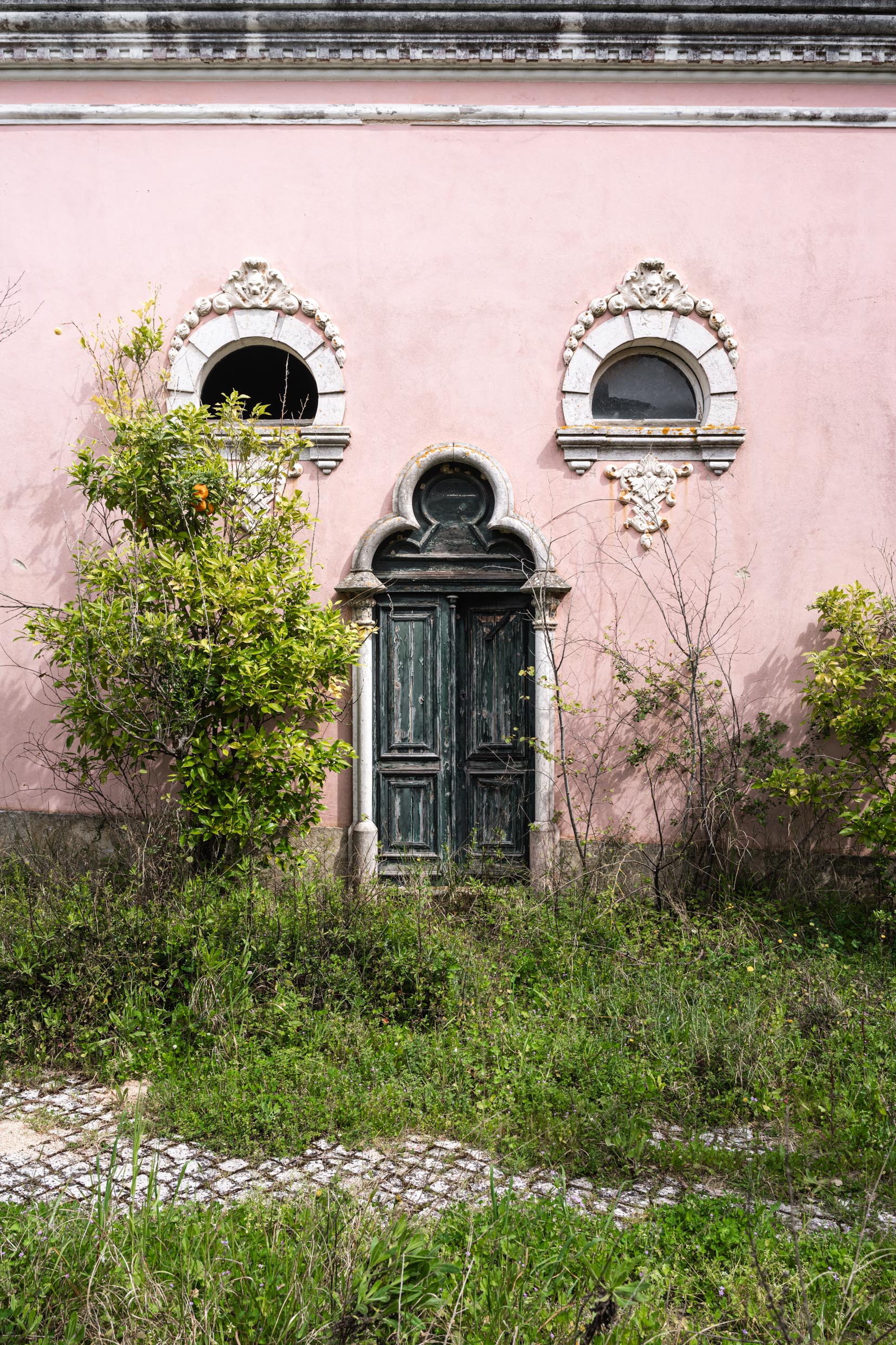 Pastel Dreams Pastel Dreams