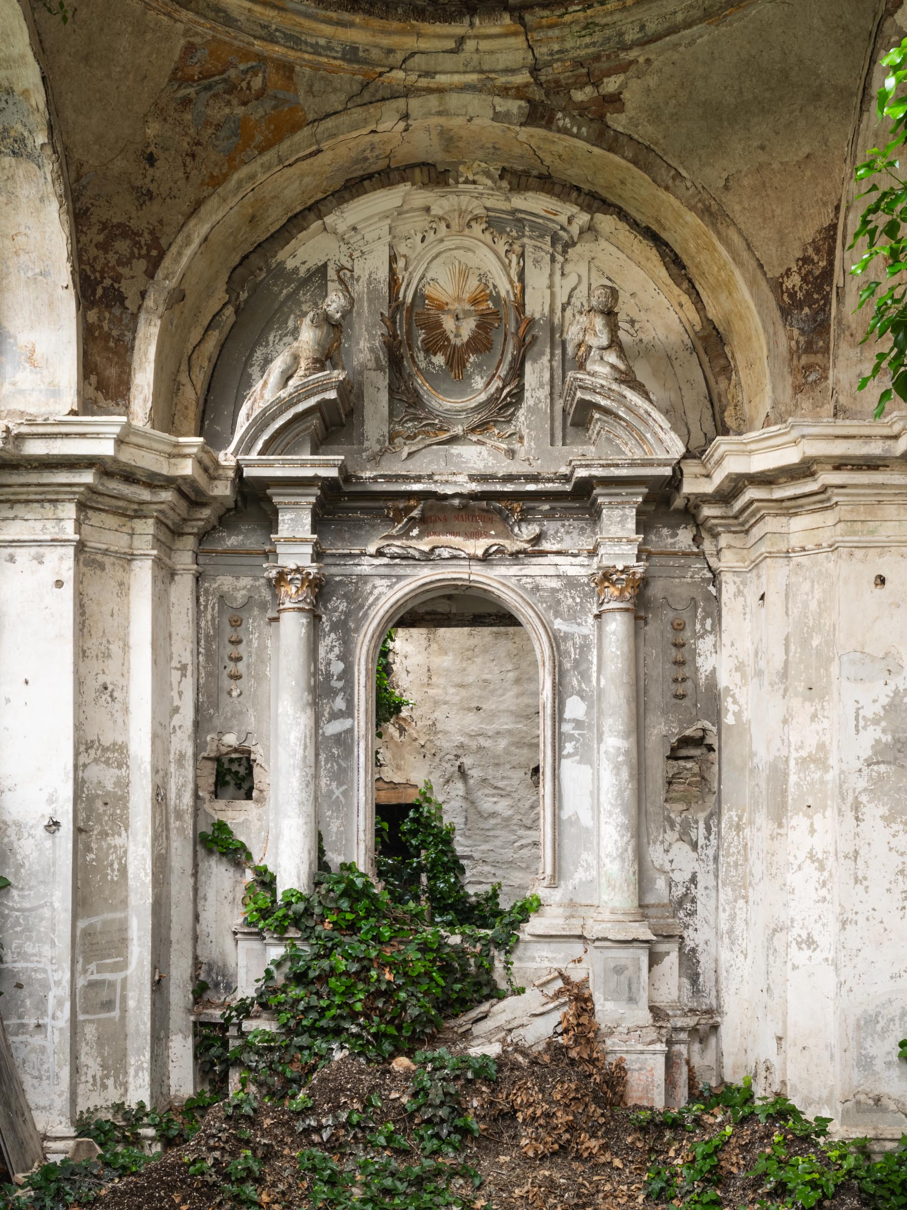 Cattedrale della Natura Cattedrale della Natura